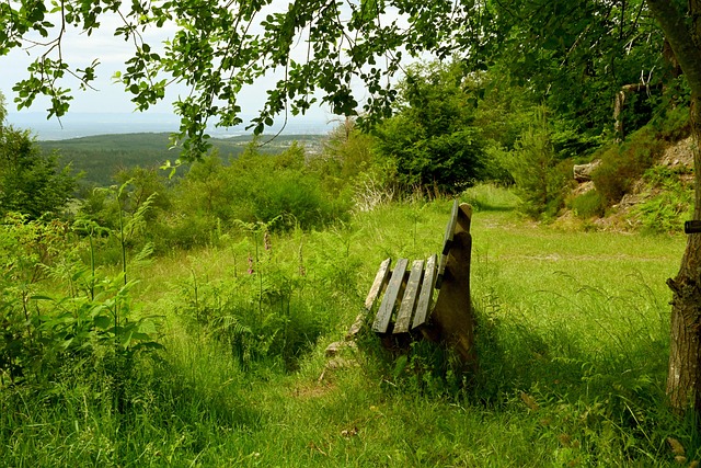 运动员的巅 运动员的巅