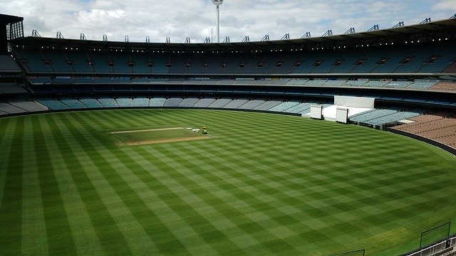 了新的战术 了新的战术