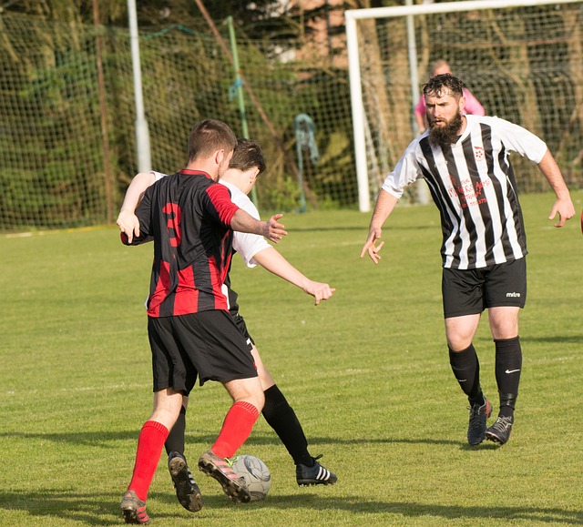 中培养的坚 中培养的坚