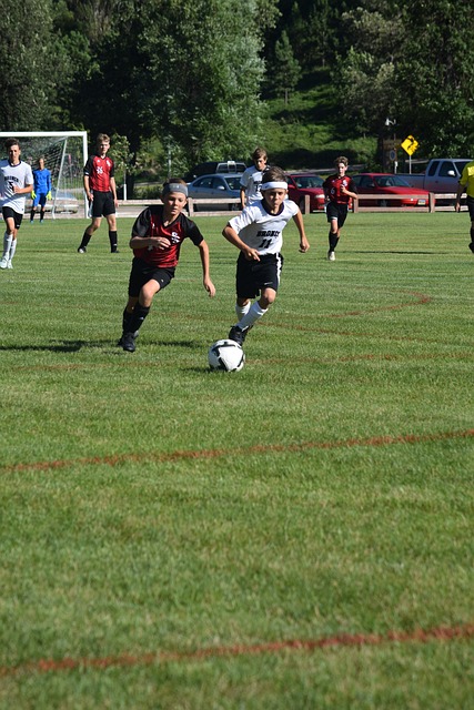 表现不仅为 表现不仅为