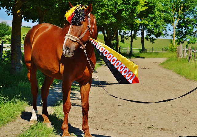 這種情形下 這種情形下