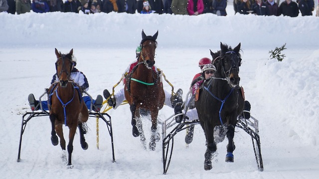 这是一次汇 这是一次汇