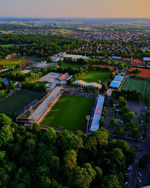 的乒乓球赛 的乒乓球赛