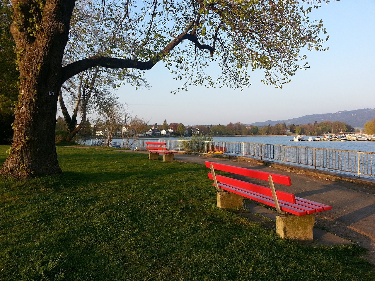 性和创意的 性和创意的