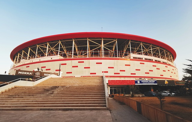 脚的能力 脚的能力